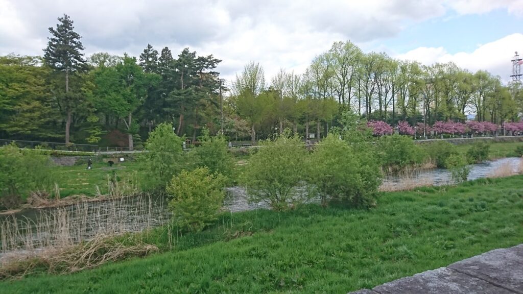 Morioka Castle Ruins Park viewed from the opposite bank of the Nakatsu River