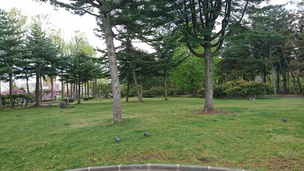 Lawn Area