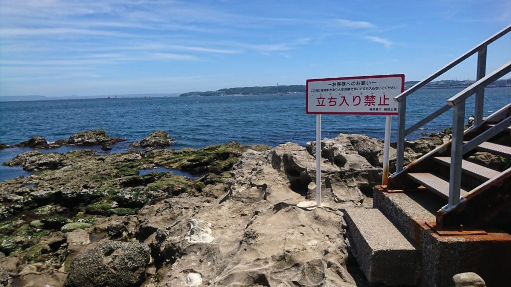 A rocky coastline