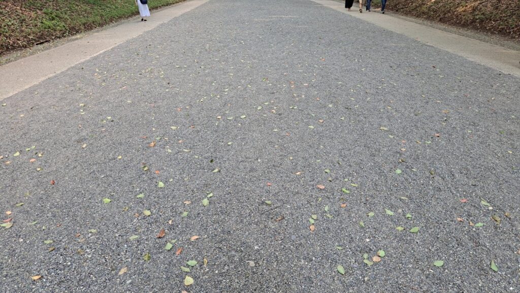 The Path to Meiji Jingu