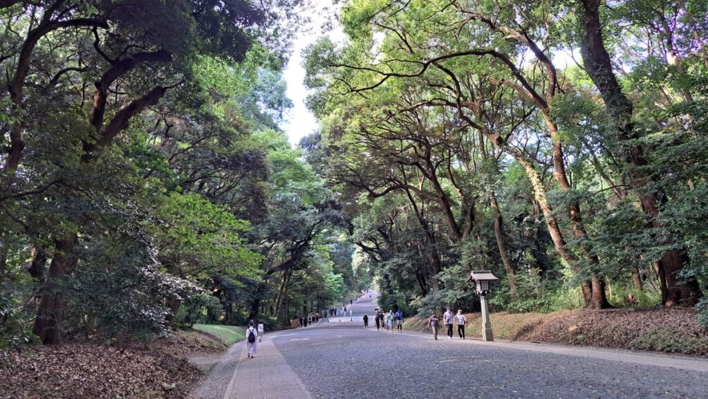 The approach to Meiji Jingu, surrounded by trees.