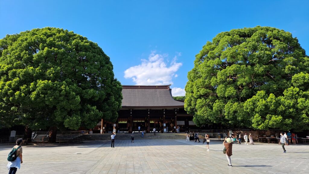 Both trees in front of the main hall of Meiji Jingu Shrine