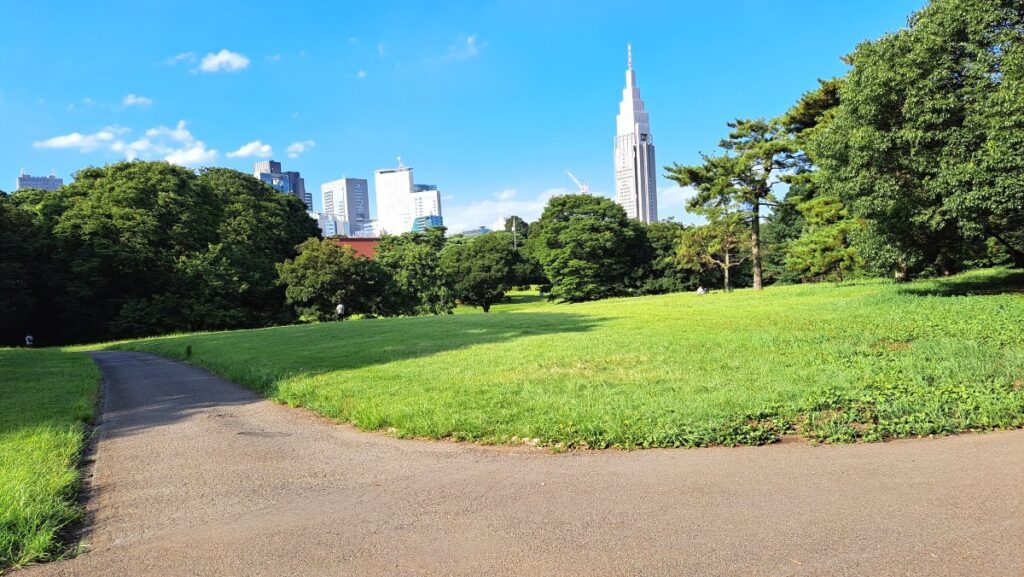 The lawn at Meiji Jingu Shrine