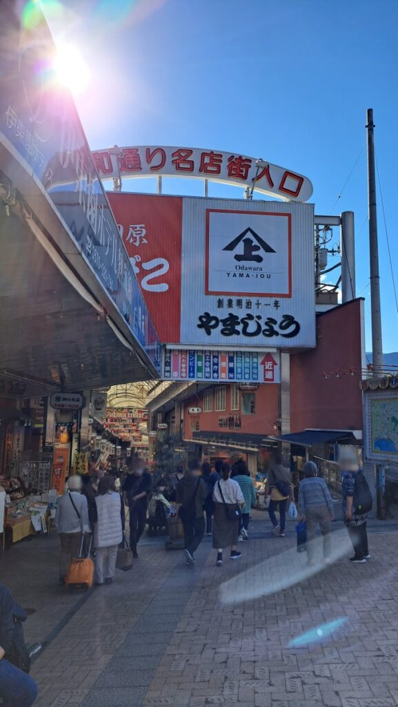 The shopping street in front of Atami Station