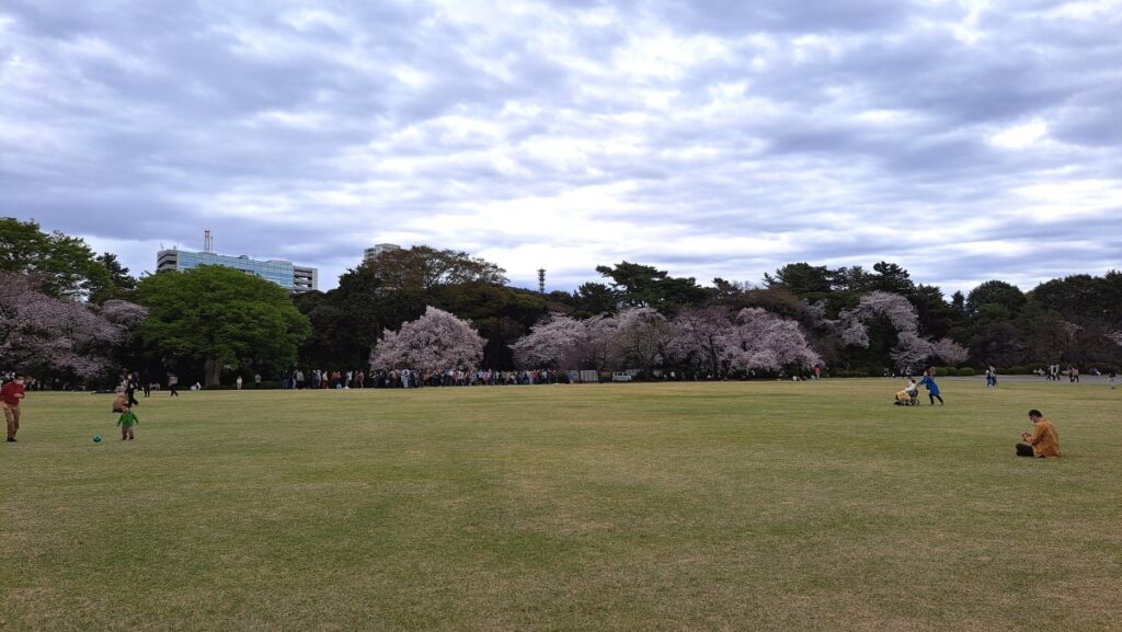 Vast lawn area