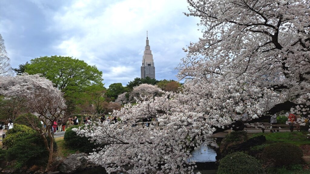 A collaboration with the famous pointed building in Yoyogi.