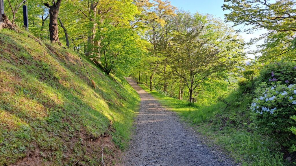 The path leading to the tea room