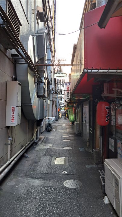 A back alley near Oimachi Station