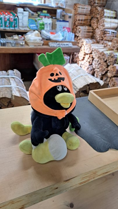A weird stuffed animal