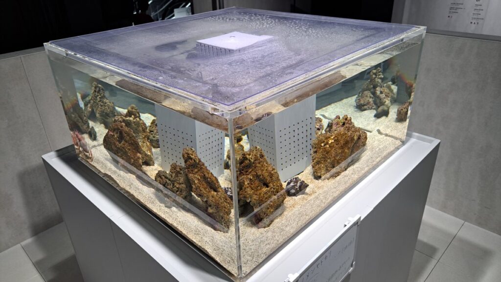 Display tank on the fourth floor