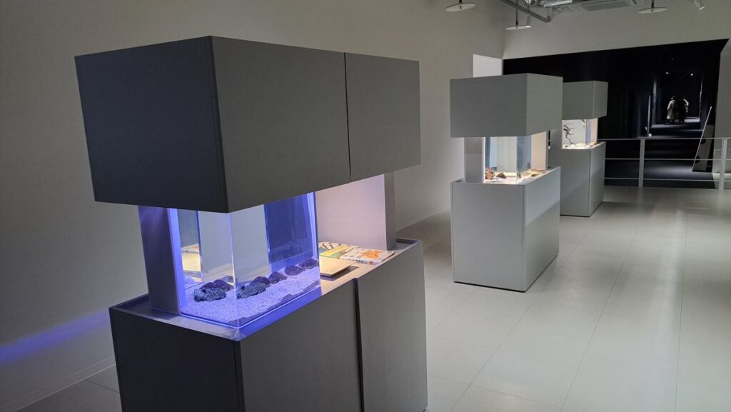 New Concept Floor