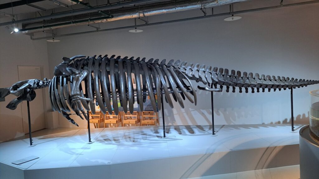 A huge sea dragon