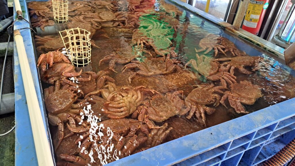 Crabs in a tank at a shop in the outer market