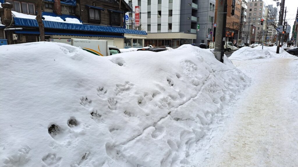 Snow-covered Sapporo city