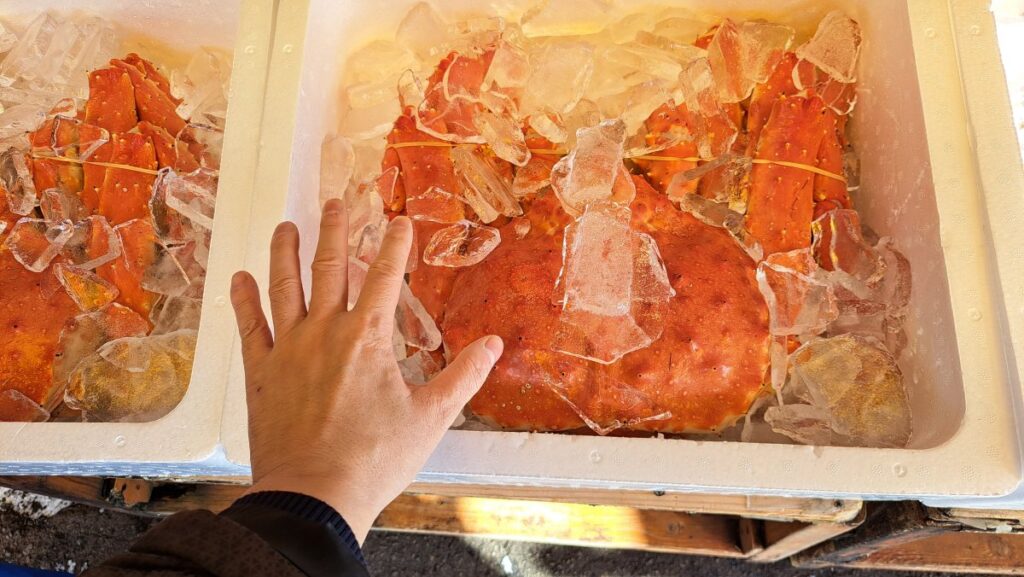 A crab larger than a human face