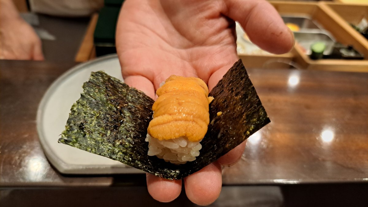 Sea urchin