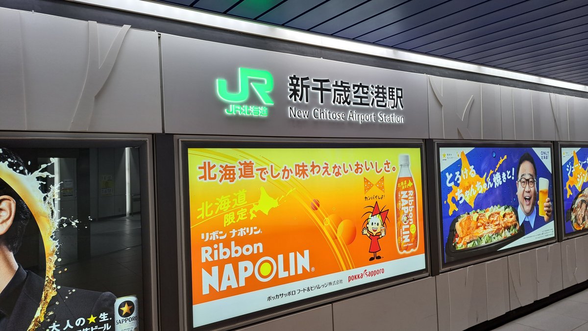 New Chitose Airport Station