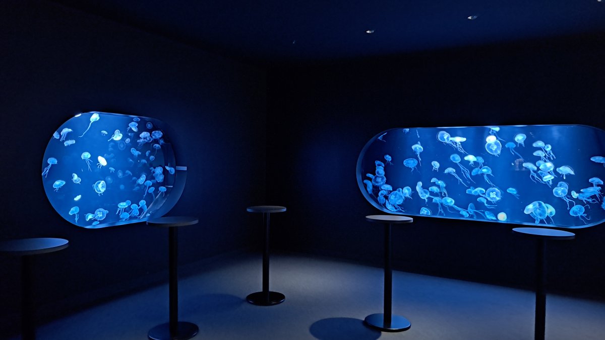 AOAO Aquarium
