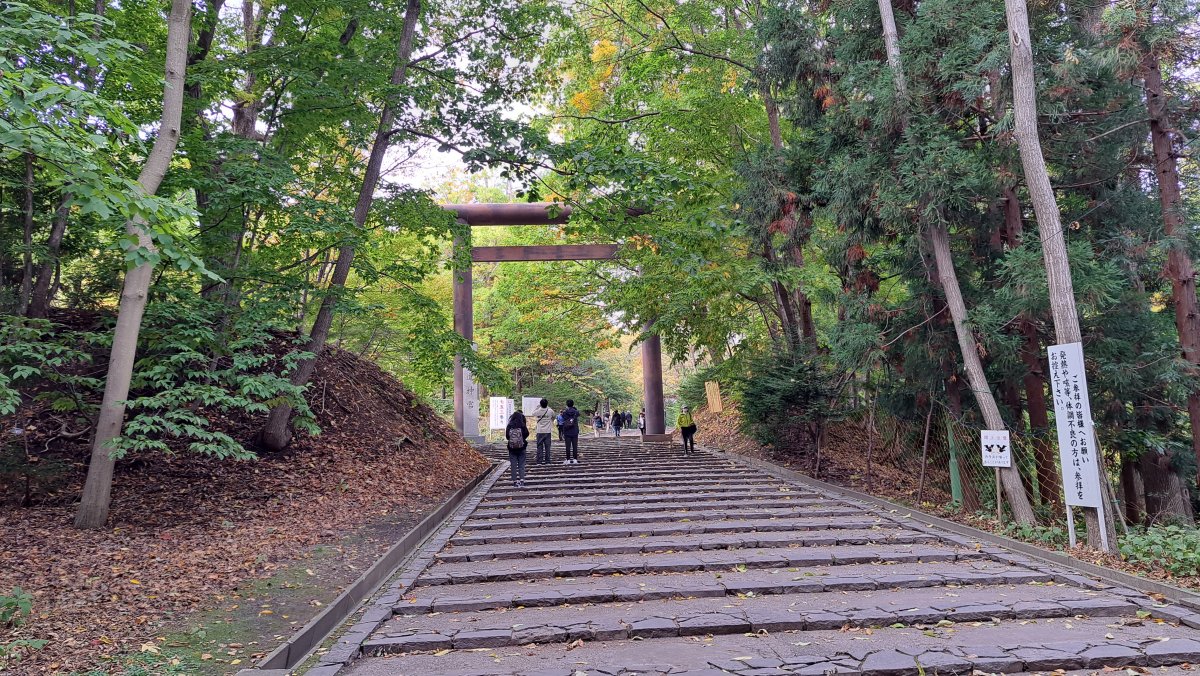 A Green Stroll: Maruyama Park and Hokkaido Shrine