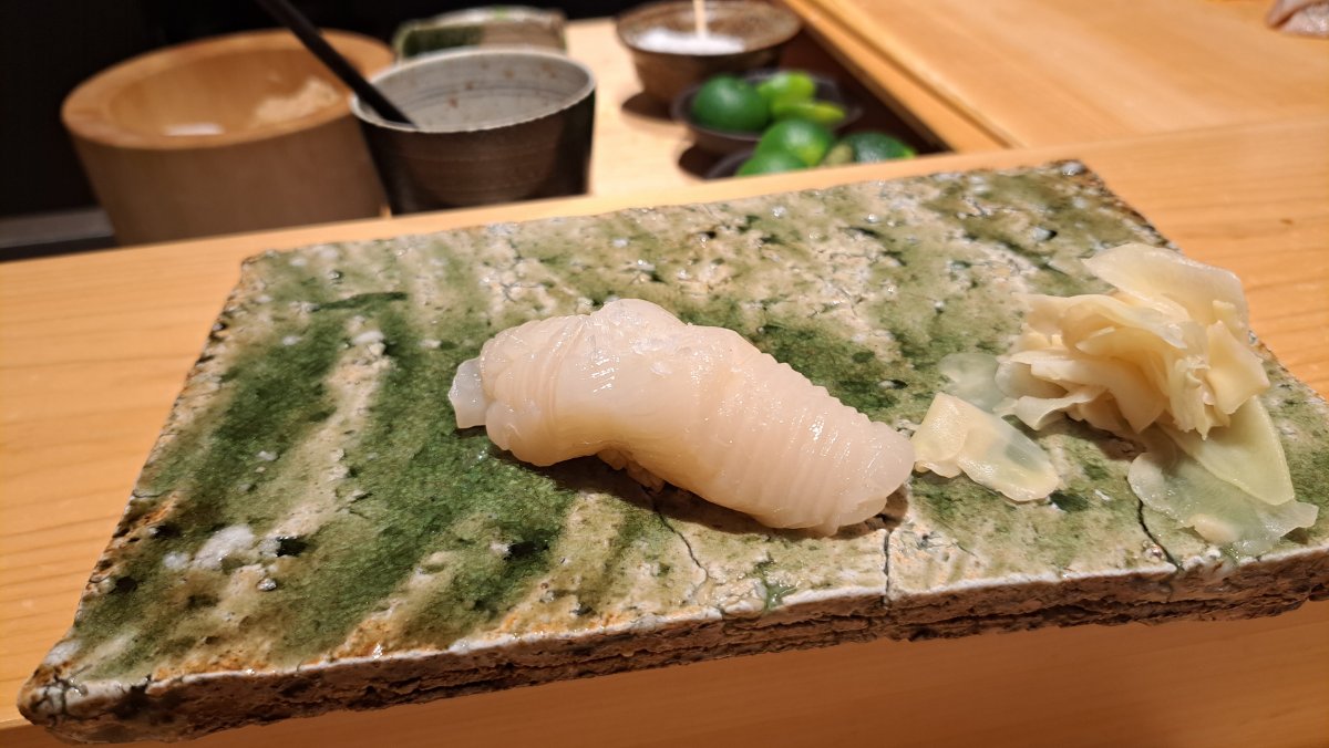 Scallop