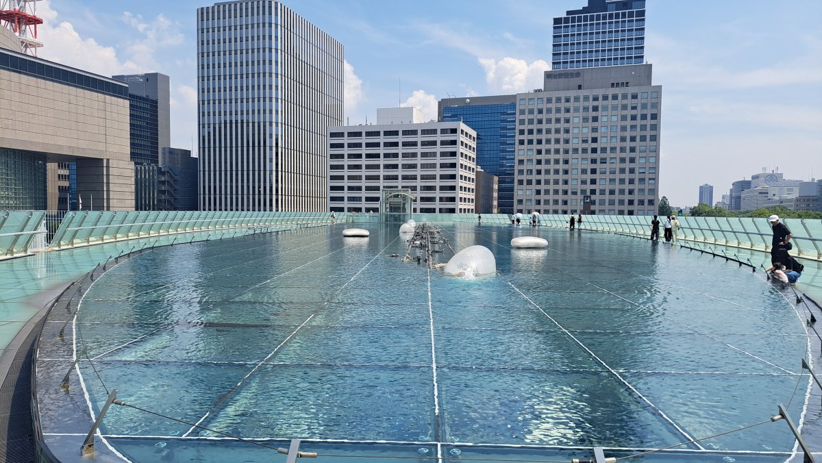 The beautiful rooftop pond