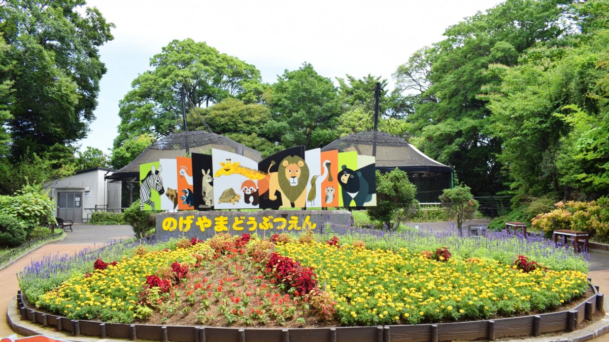 Nogeyama Zoo