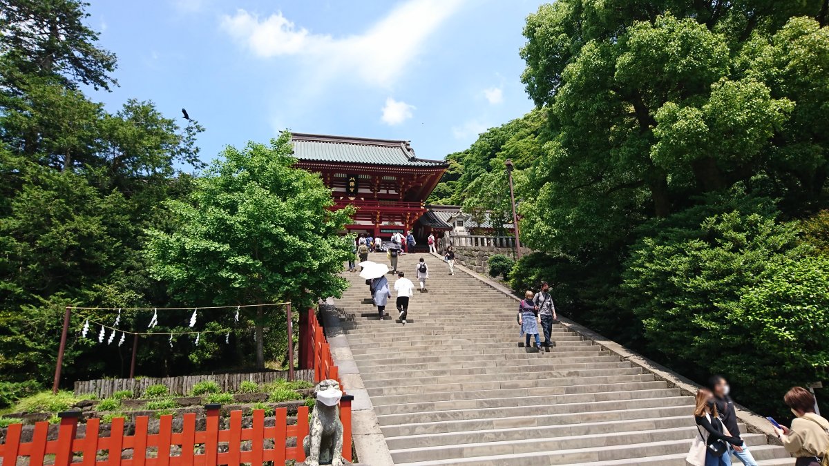 Sightseeing