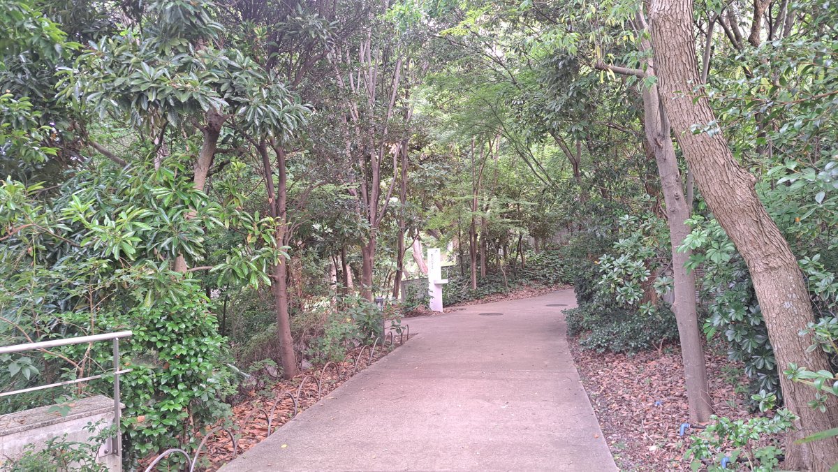 Shiba Park Walking Path