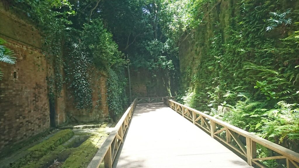 猿島の遊歩道