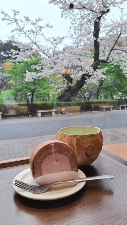 桜ロールケーキと抹茶