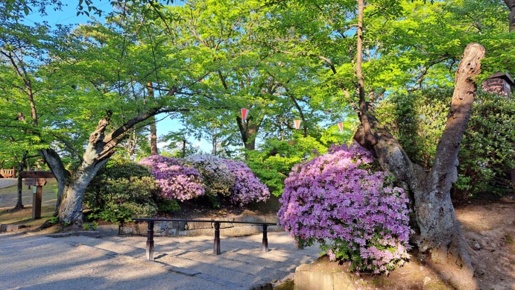 千秋公園の美しい景色