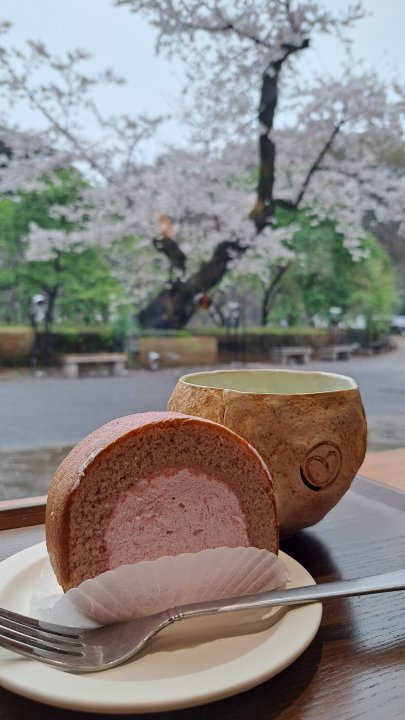 新宿御苑の桜と桜ロールケーキ