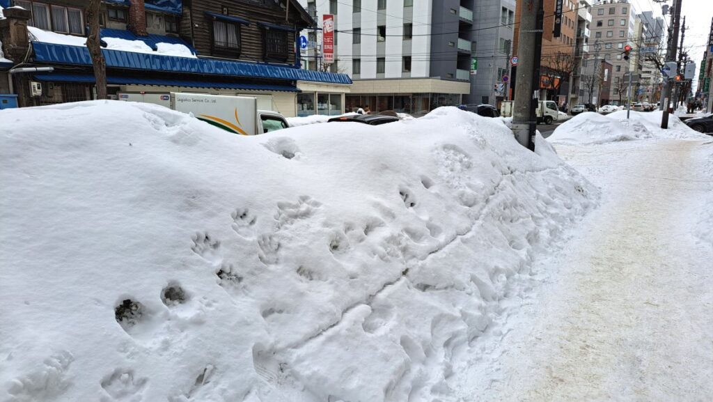 雪が積もる札幌市内