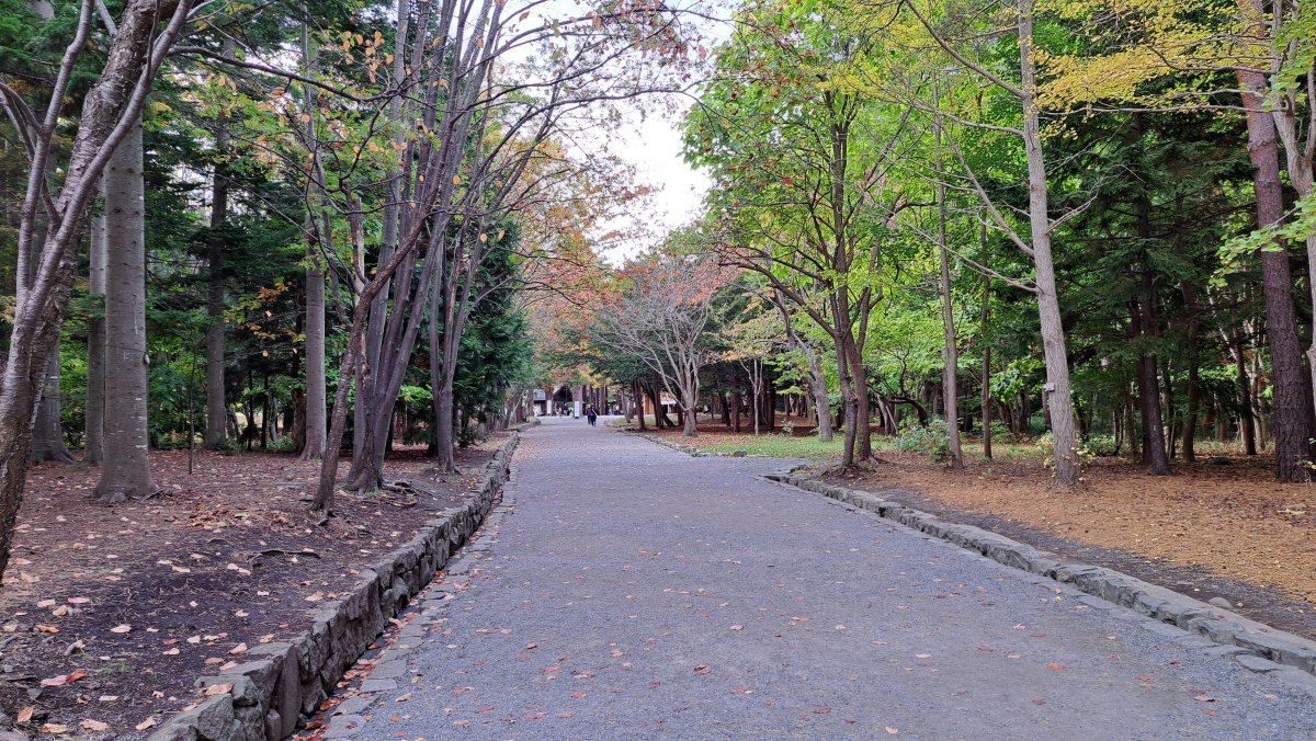 円山公園内の神宮へ続く道