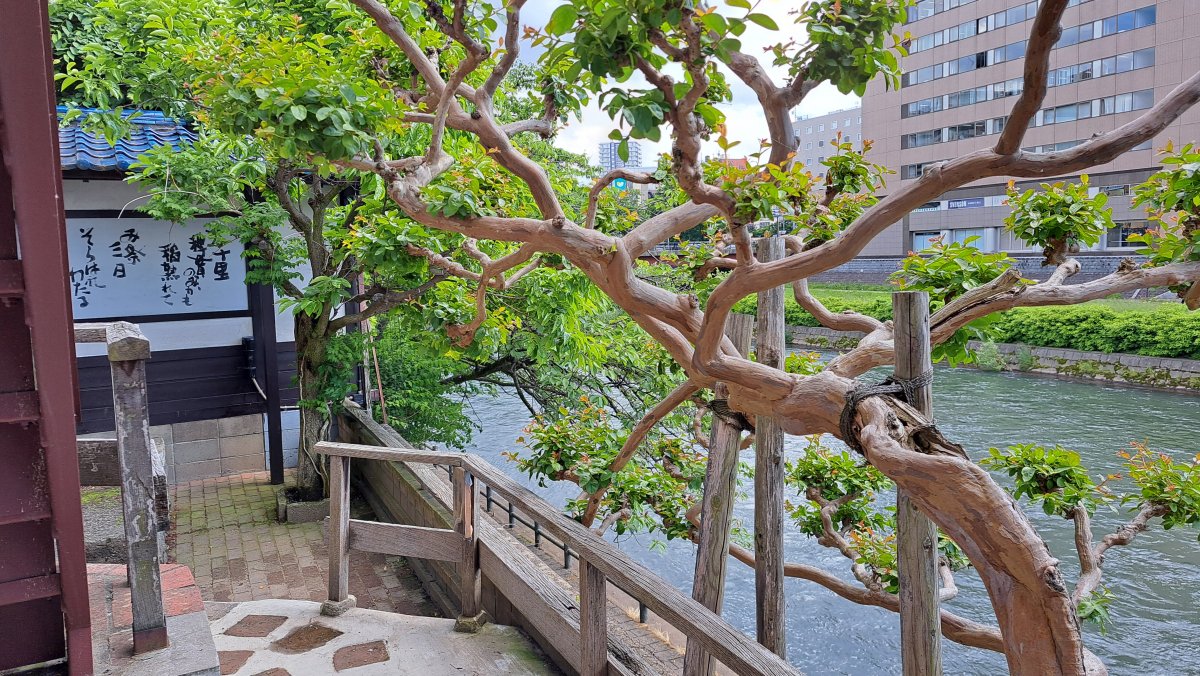 北上川沿いの癒しの風を感じる空間
