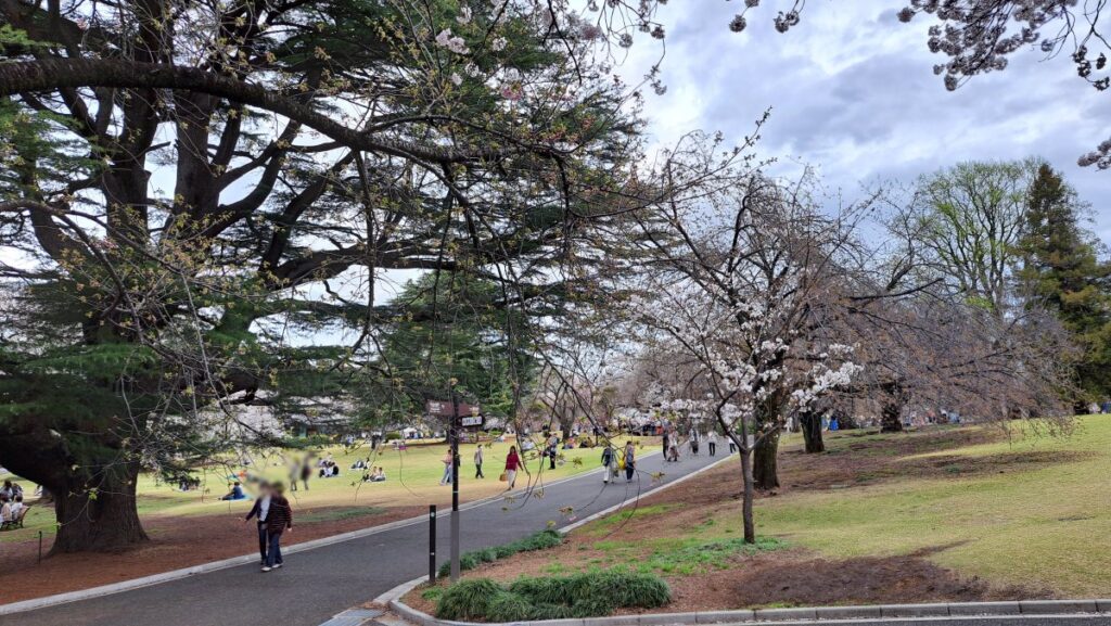 広い園内で、レジャーシートを敷いて楽しむ人も多い、アルコール不可なので騒がしくない